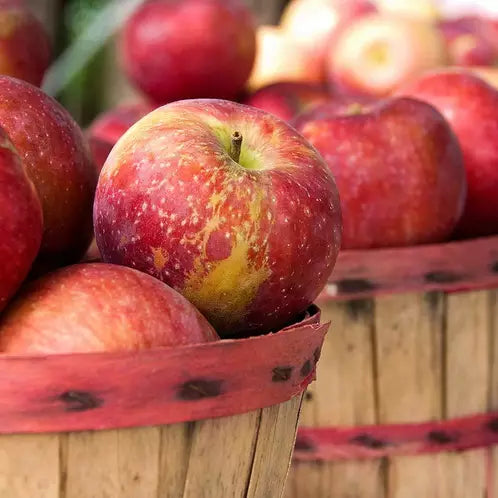 Apple Harvest 3 Wick Blown Glass Collection