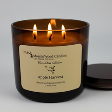 Load image into Gallery viewer, Apple Harvest-Soy 3-Wick Blown Glass Collection
