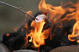 Campfire Marshmallow 3 Wick Blown Glass Collection
