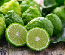 Load image into Gallery viewer, Green Fig &amp; Bergamot- 8 oz. Tin (New Scent)
