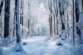 Woodland Snow ~ 8oz Tin